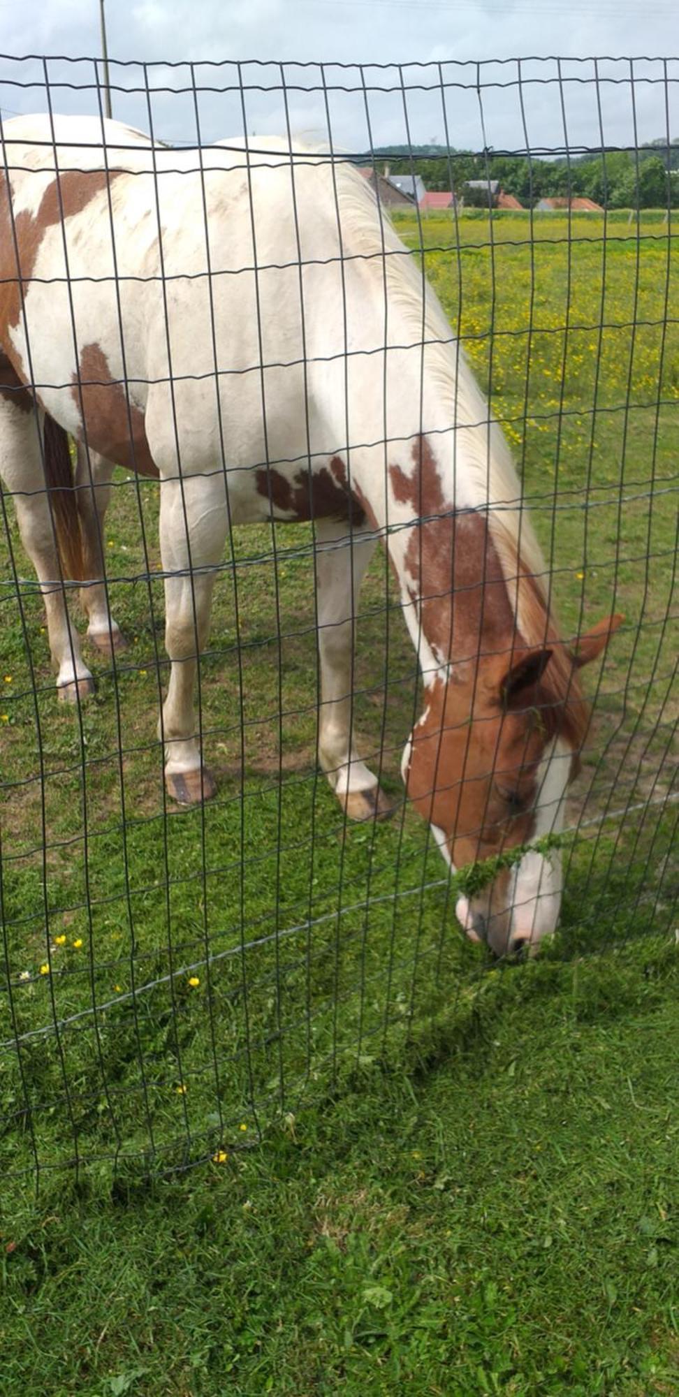 Au Grand Galop Casa de Férias